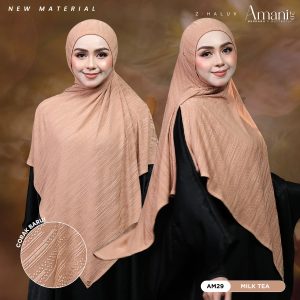 AM29