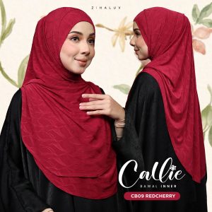 CB09